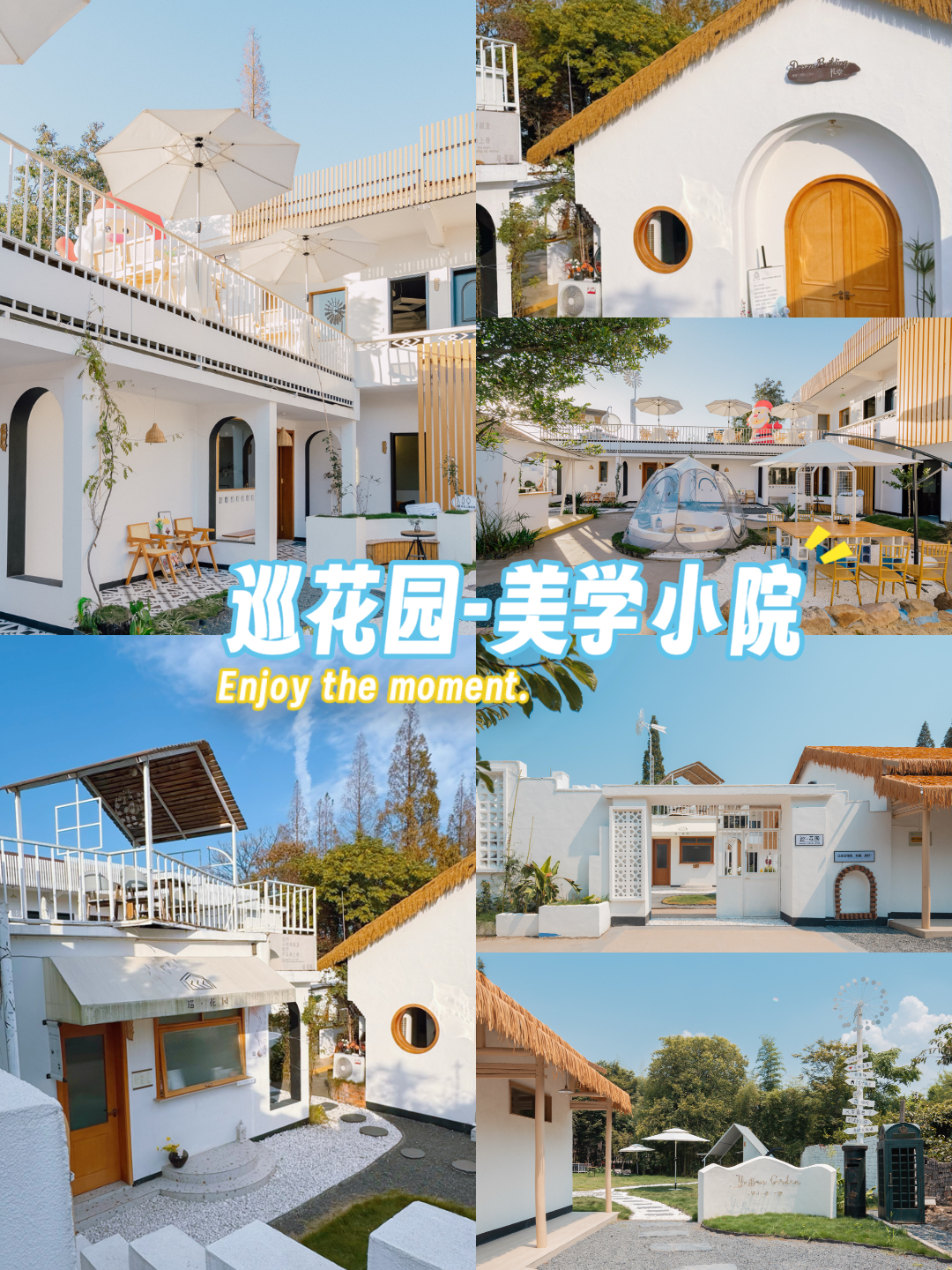 桐乡巡花园美学空间：以包场为核心，打造沉浸式私享庭院